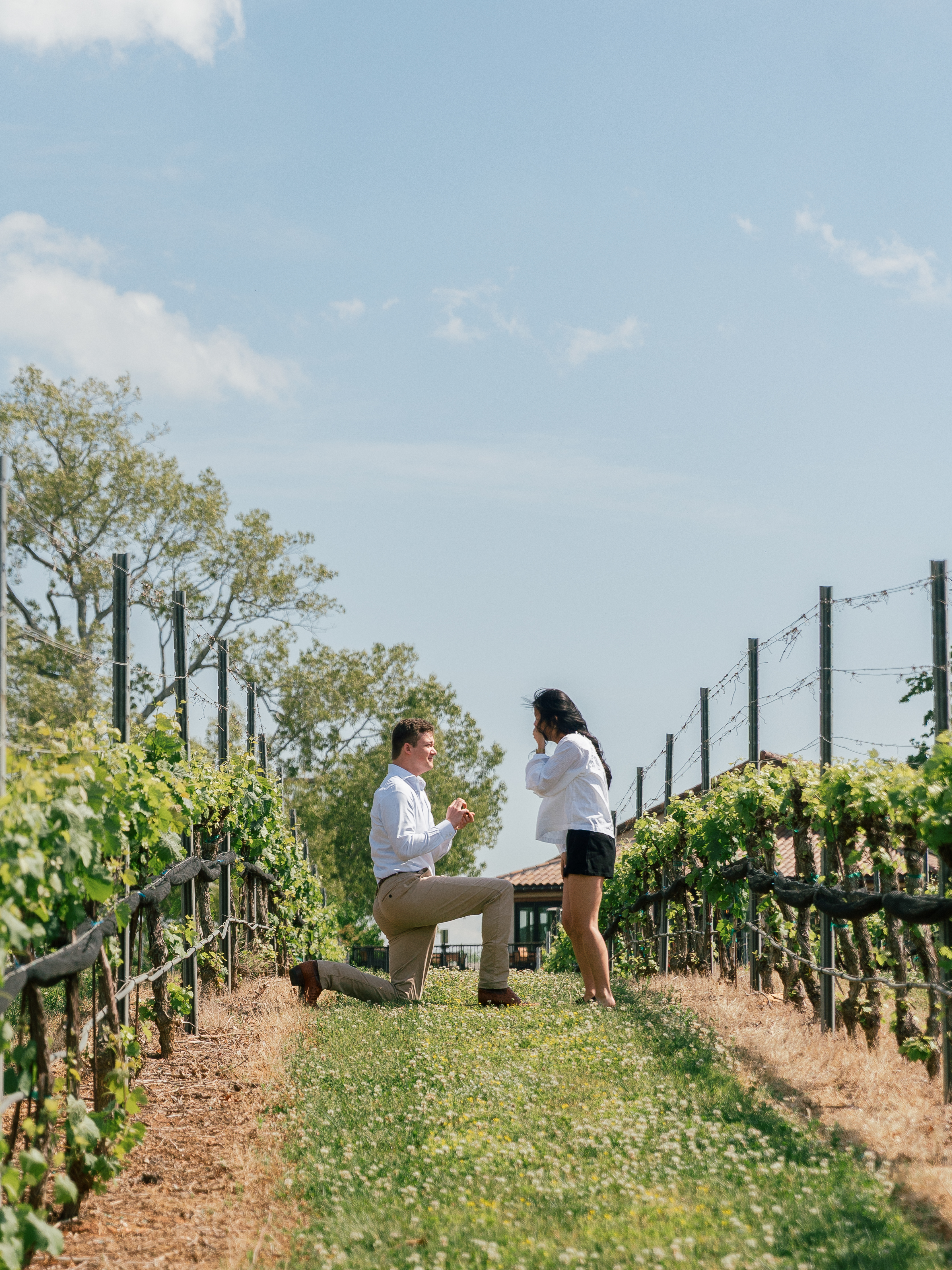 The proposal in the vineyard